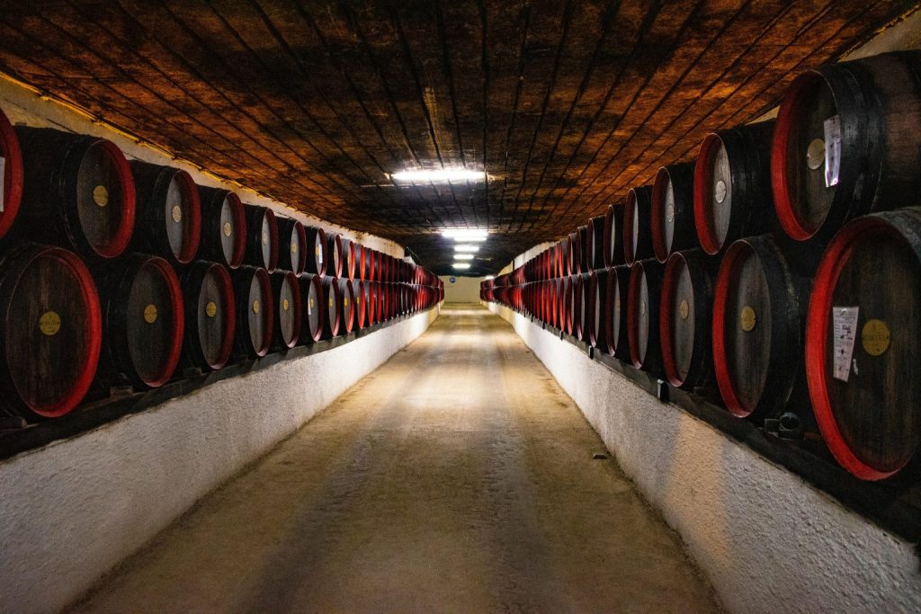 fermentation